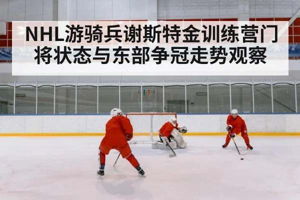 ice hockey goalie training